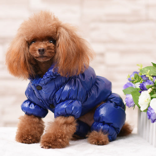 Dog Winter Padded Jacket - Windproof and Waterproof Pet Outerwear