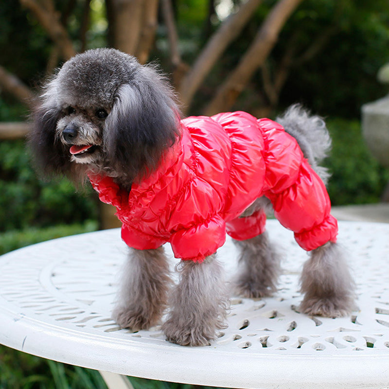Dog Winter Padded Jacket - Windproof and Waterproof Pet Outerwear