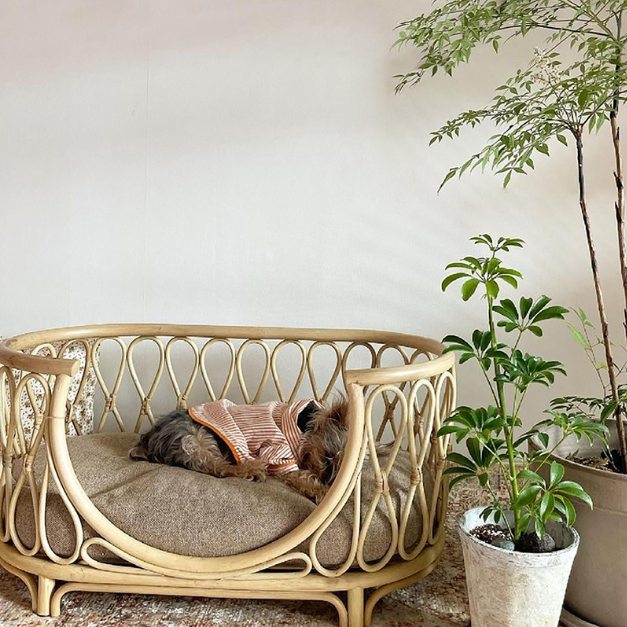 Hand-Woven Rattan Pet Bed | Dog Sofa, Cat Princess Bed, Baby Rattan Bed
