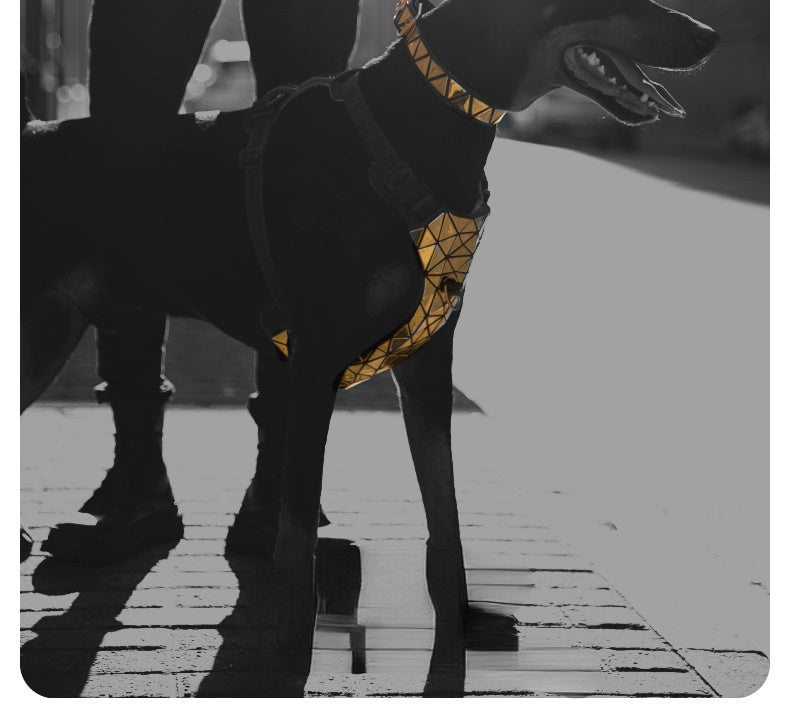 Dog Harness Luxury Shining Collar - Fashionable Pet Walking Accessories
