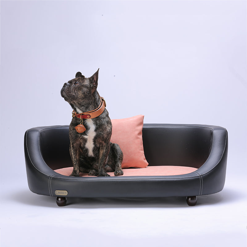 Elegant Dog Cat Sofa - Contemporary Pet Furniture for Style and Comfort
